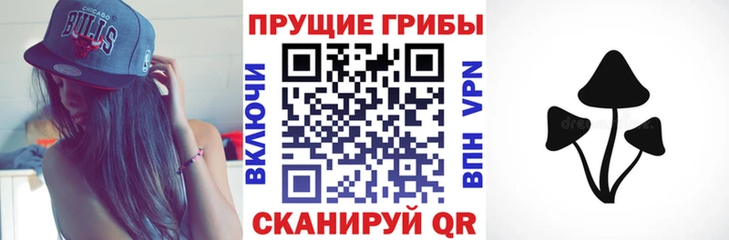наркошоп  Мариинский Посад  Псилоцибиновые грибы GOLDEN TEACHER 