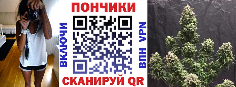 МАРИХУАНА Amnesia  Мариинский Посад 